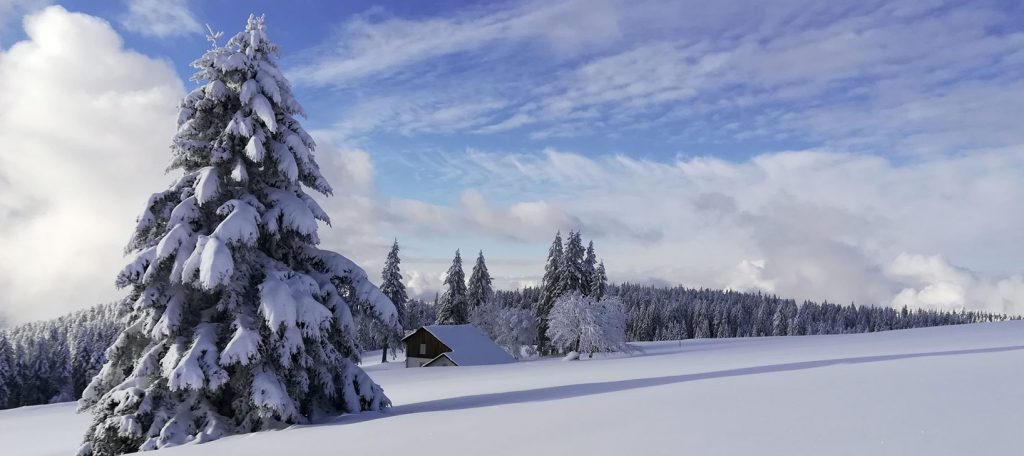 gite des mazes vosges hiver