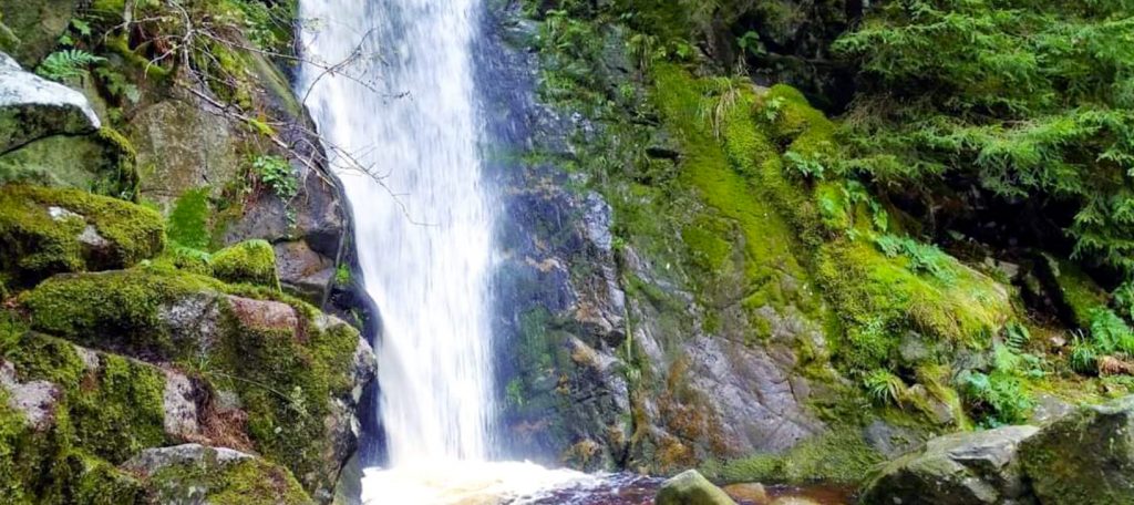 gite des mazes vosges printemps